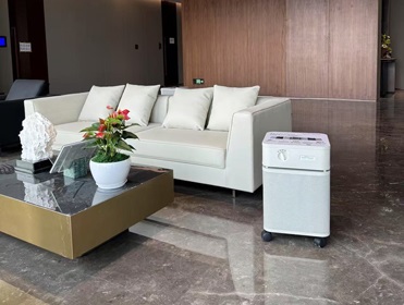 广东某大型企业单位新装修 租赁空气净化器除甲醛